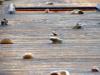 Climbing Wall